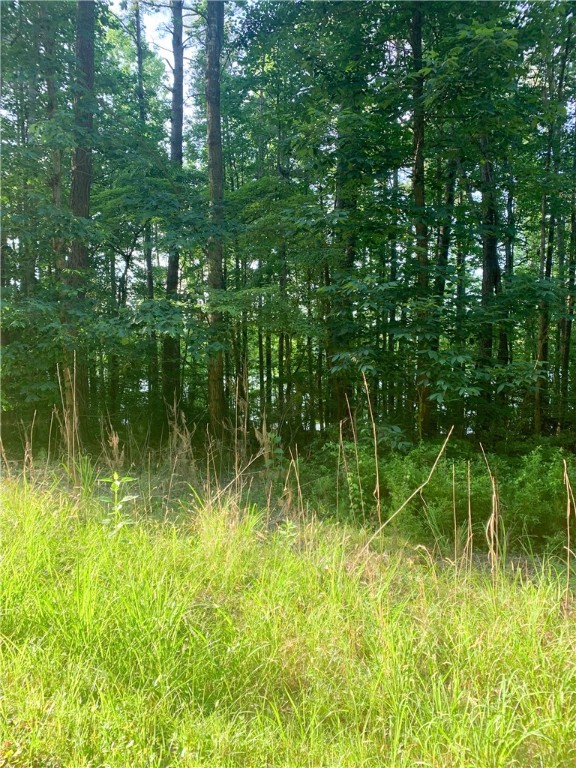 0 Logans Way Seneca, SC 29678 - Photo 9 of 12