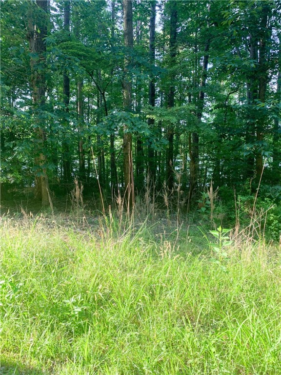 0 Logans Way Seneca, SC 29678 - Photo 10 of 12