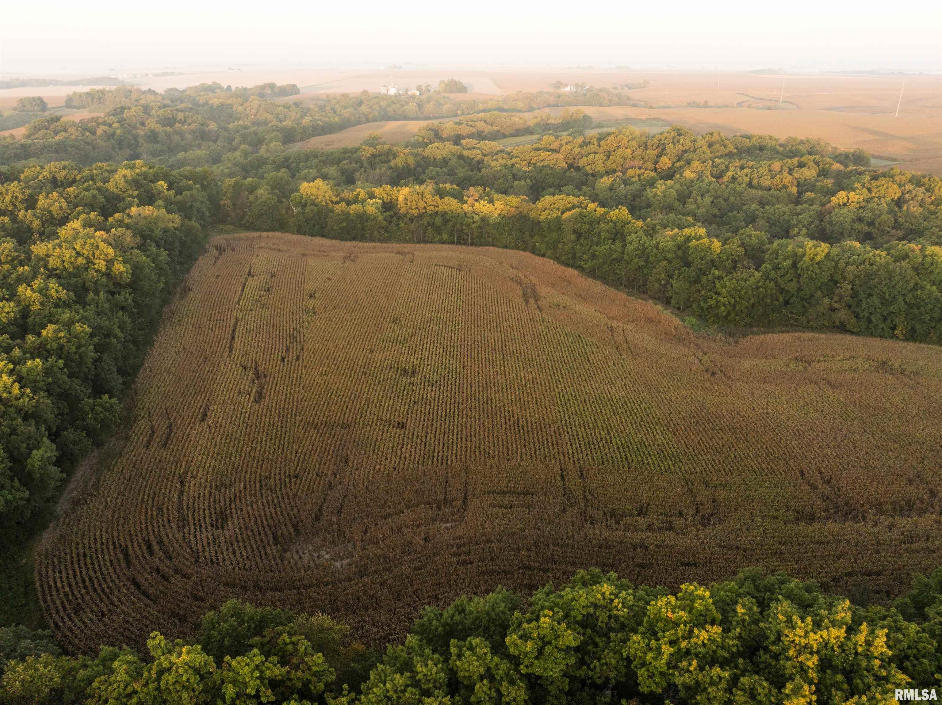 0 North Daily Road Princeville, IL 61559 - Photo 14 of 37