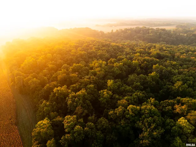 $824,500 | 0 North Daily Road, Princeville, IL 61559