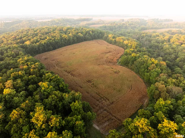 $824,500 | 0 North Daily Road, Princeville, IL 61559