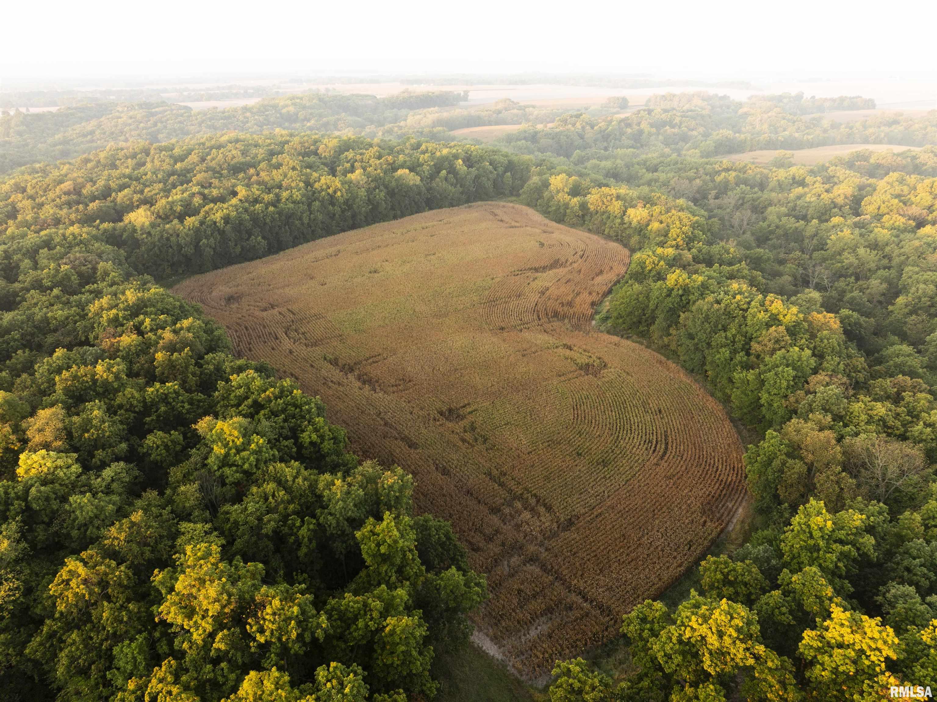 0 North Daily Road Princeville, IL 61559 - Photo 16 of 37
