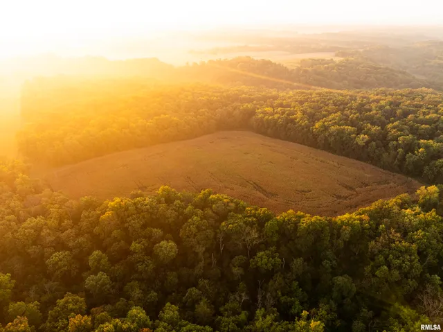 $824,500 | 0 North Daily Road, Princeville, IL 61559