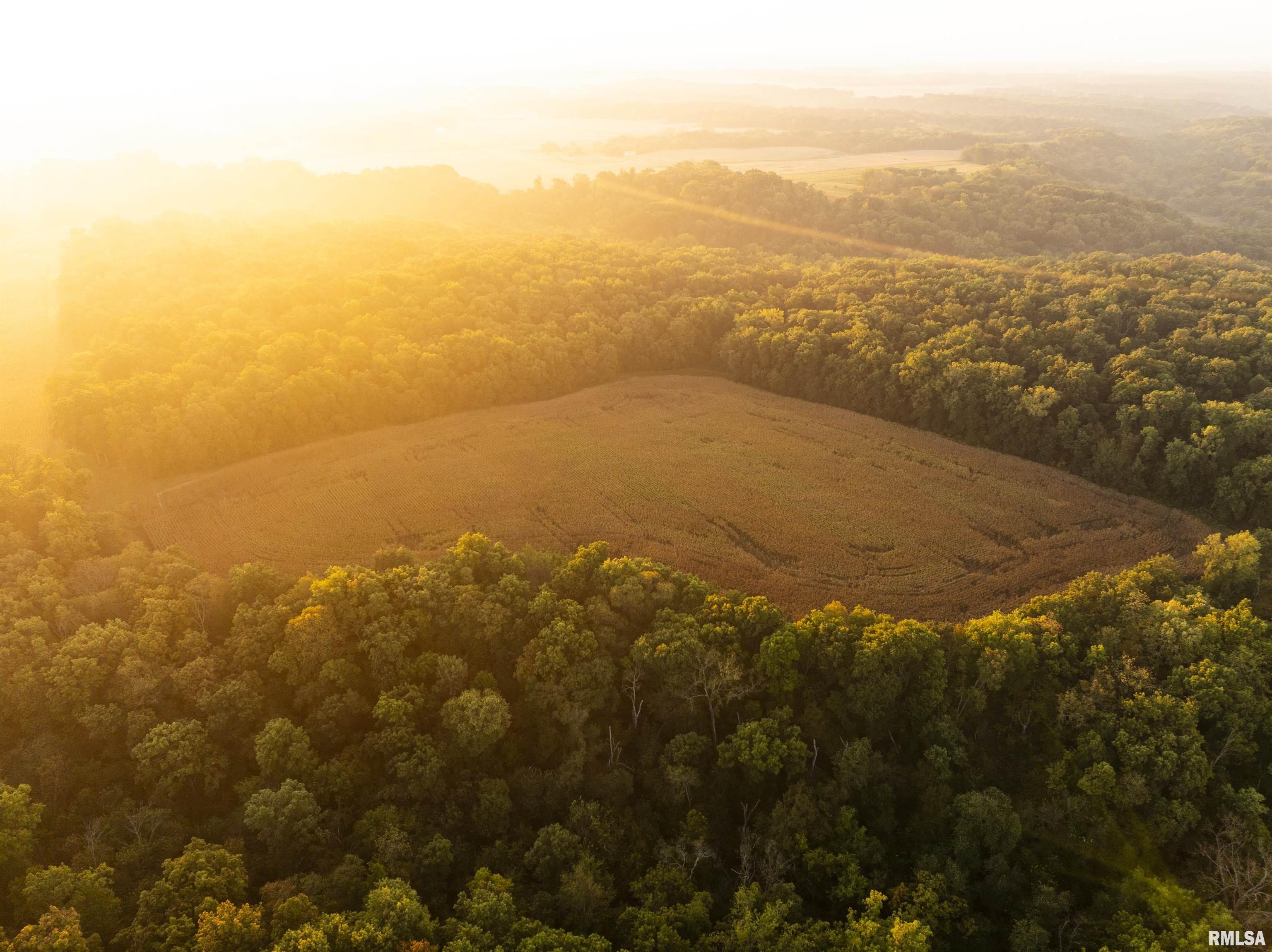 0 North Daily Road Princeville, IL 61559 - Photo 17 of 37