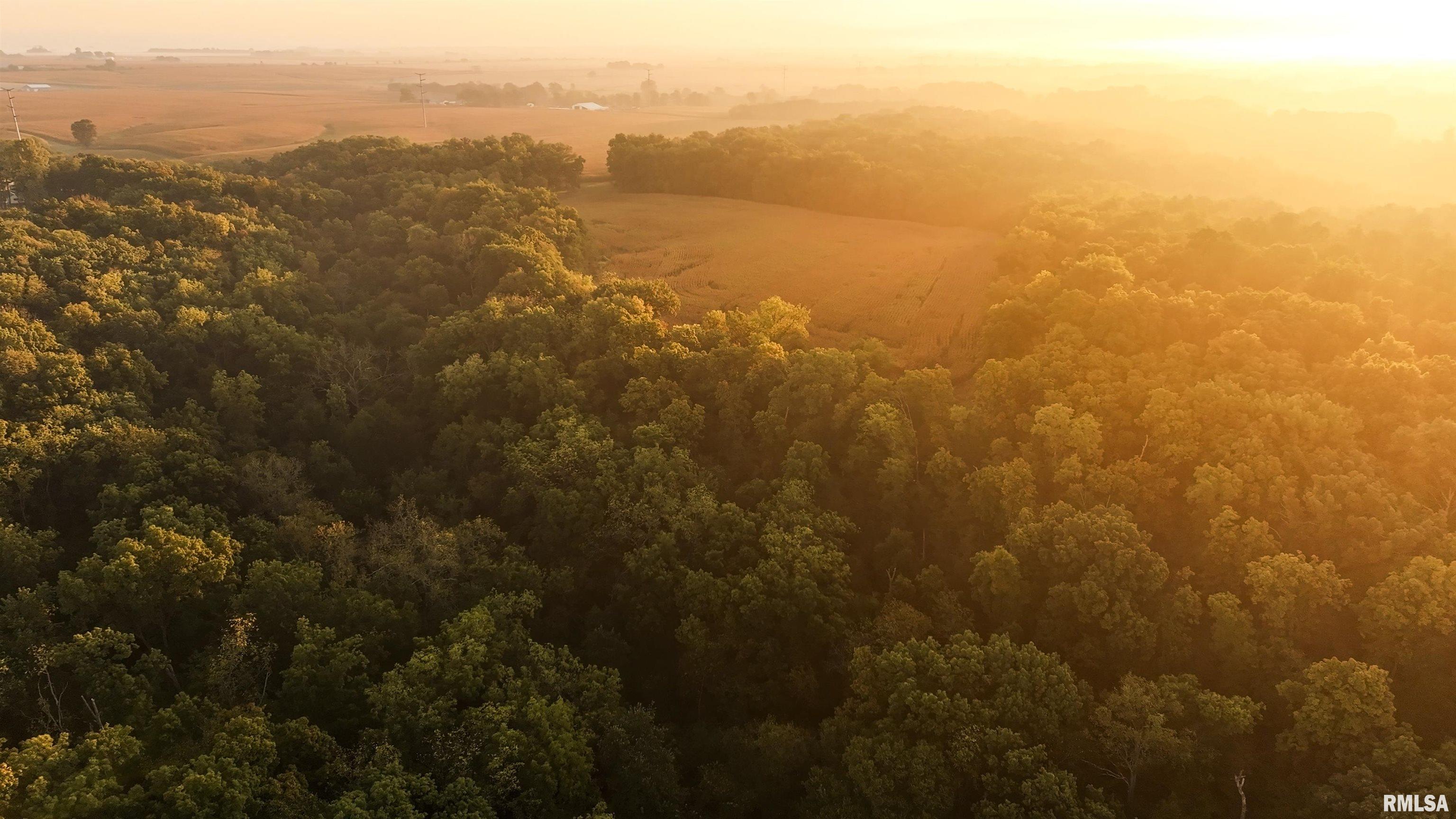 0 North Daily Road Princeville, IL 61559 - Photo 18 of 37