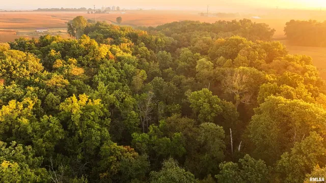 $824,500 | 0 North Daily Road, Princeville, IL 61559