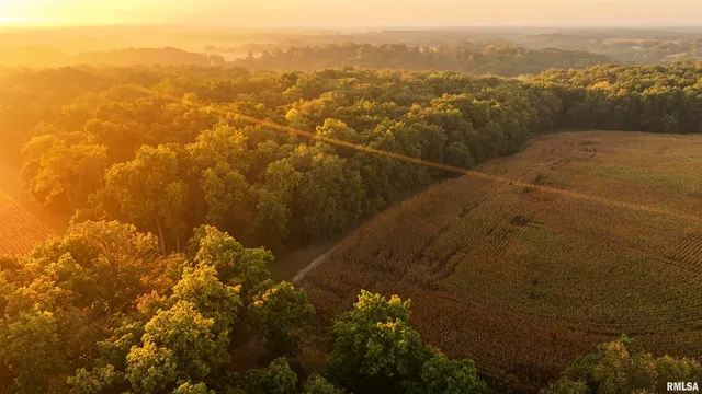 $824,500 | 0 North Daily Road, Princeville, IL 61559