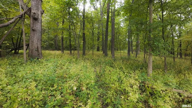 $824,500 | 0 North Daily Road, Princeville, IL 61559