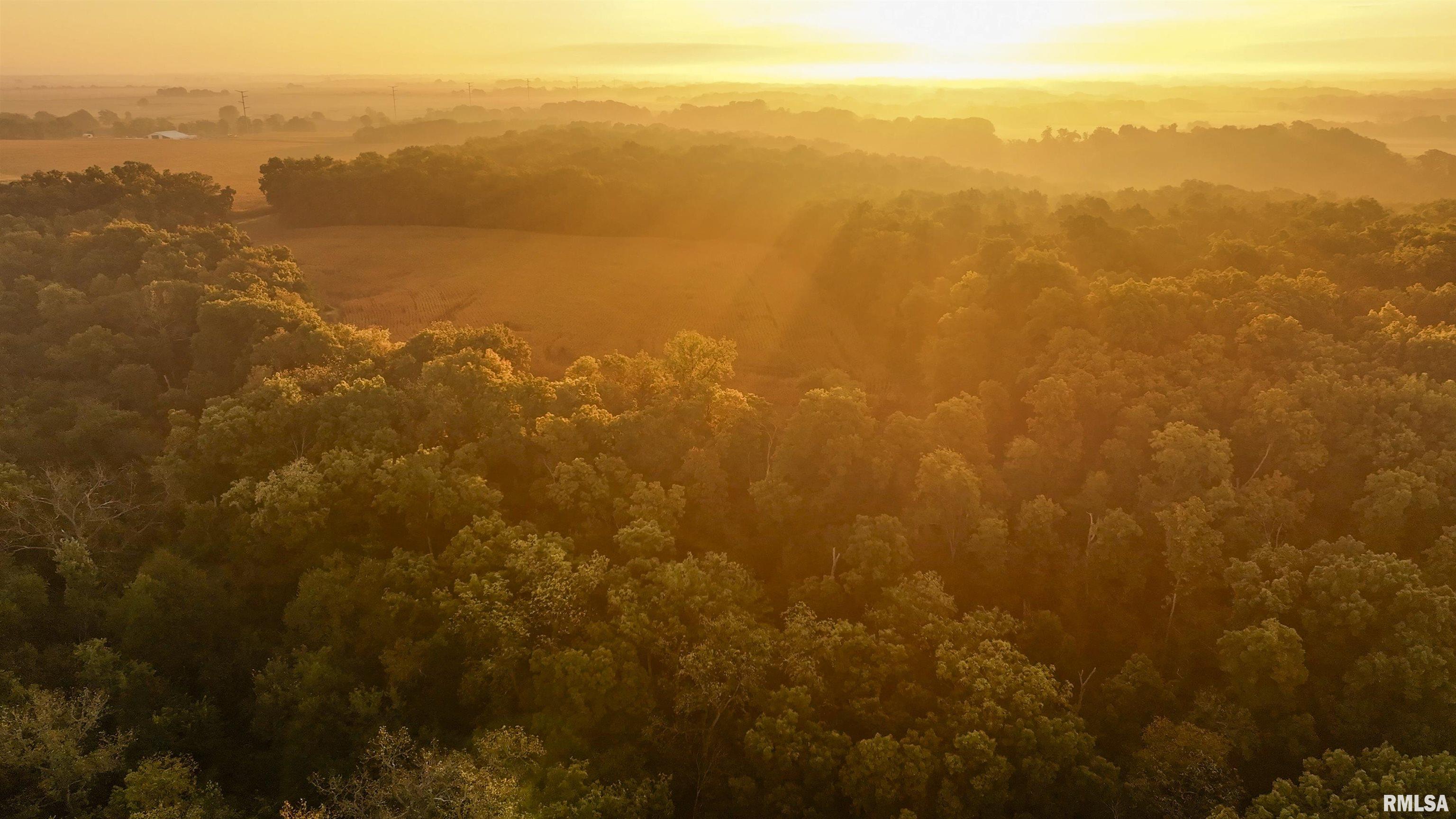 0 North Daily Road Princeville, IL 61559 - Photo 21 of 37