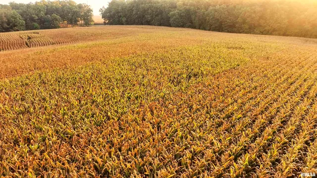 $824,500 | 0 North Daily Road, Princeville, IL 61559