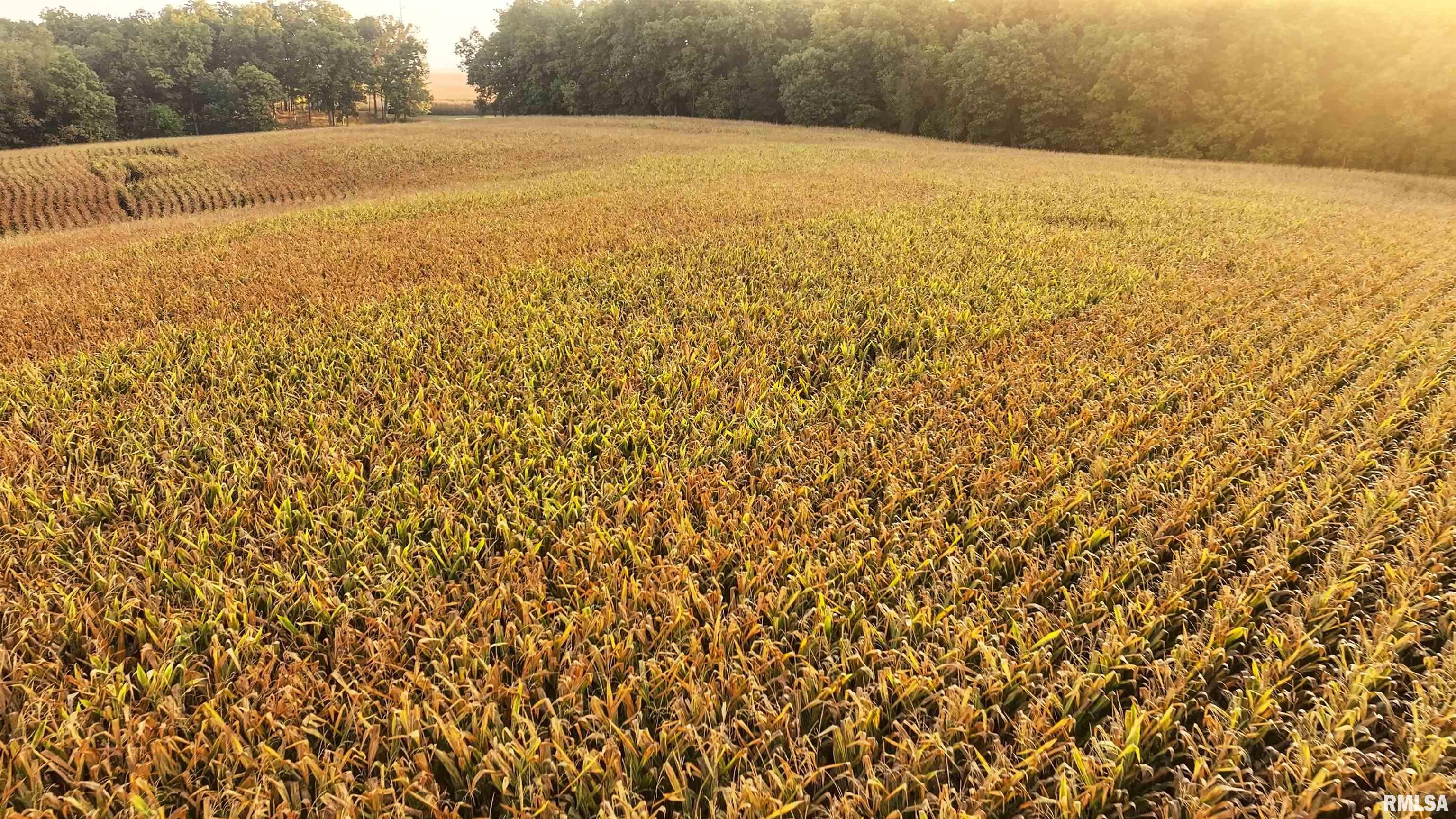 0 North Daily Road Princeville, IL 61559 - Photo 22 of 37