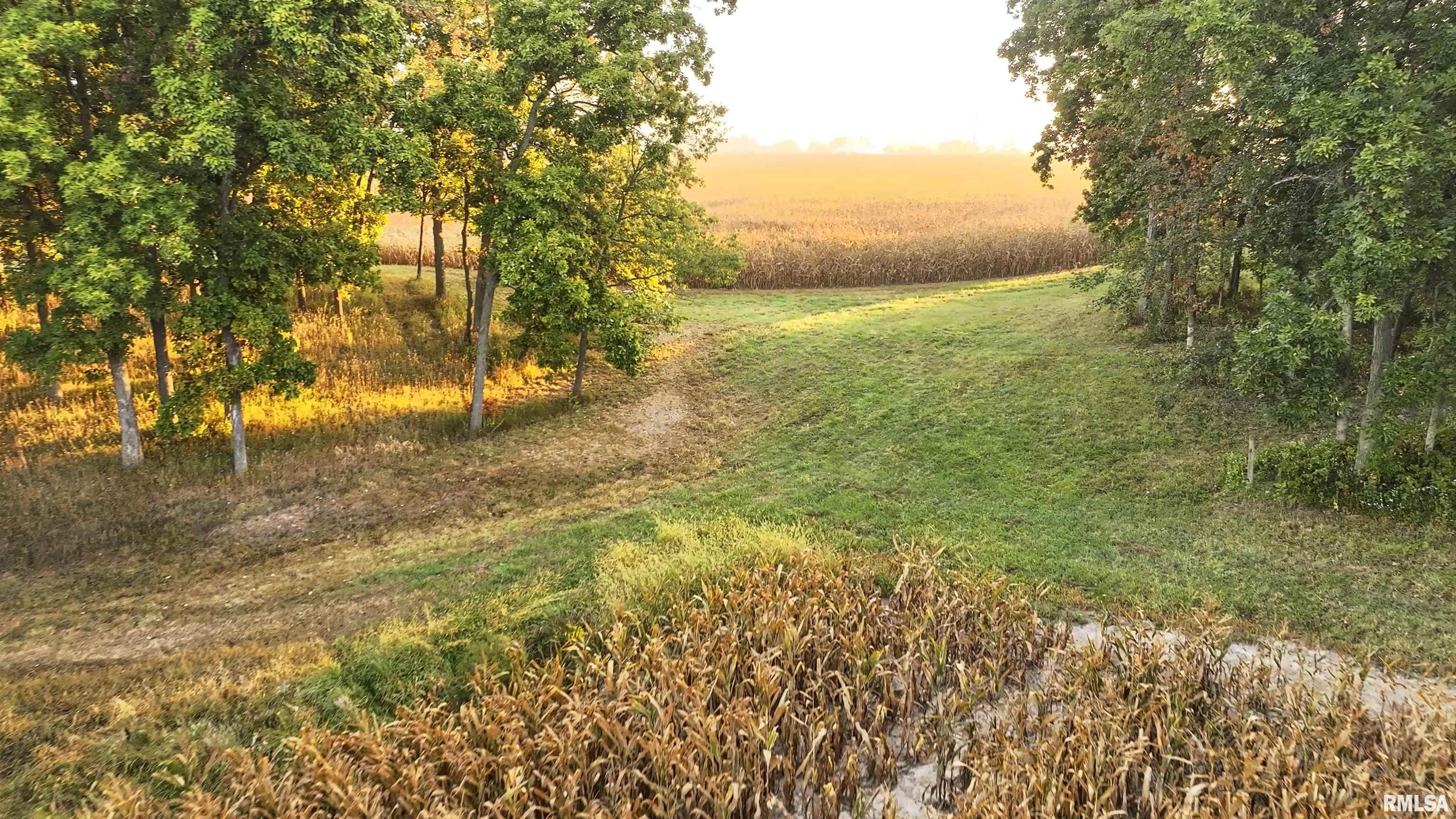 0 North Daily Road Princeville, IL 61559 - Photo 23 of 37