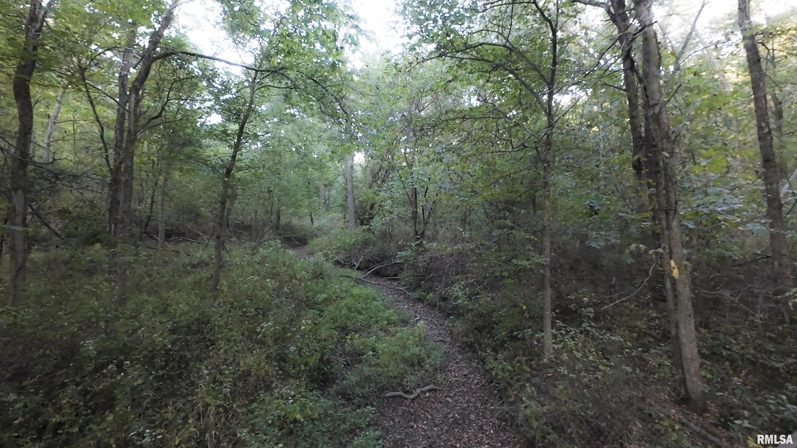 0 North Daily Road Princeville, IL 61559 - Photo 24 of 37