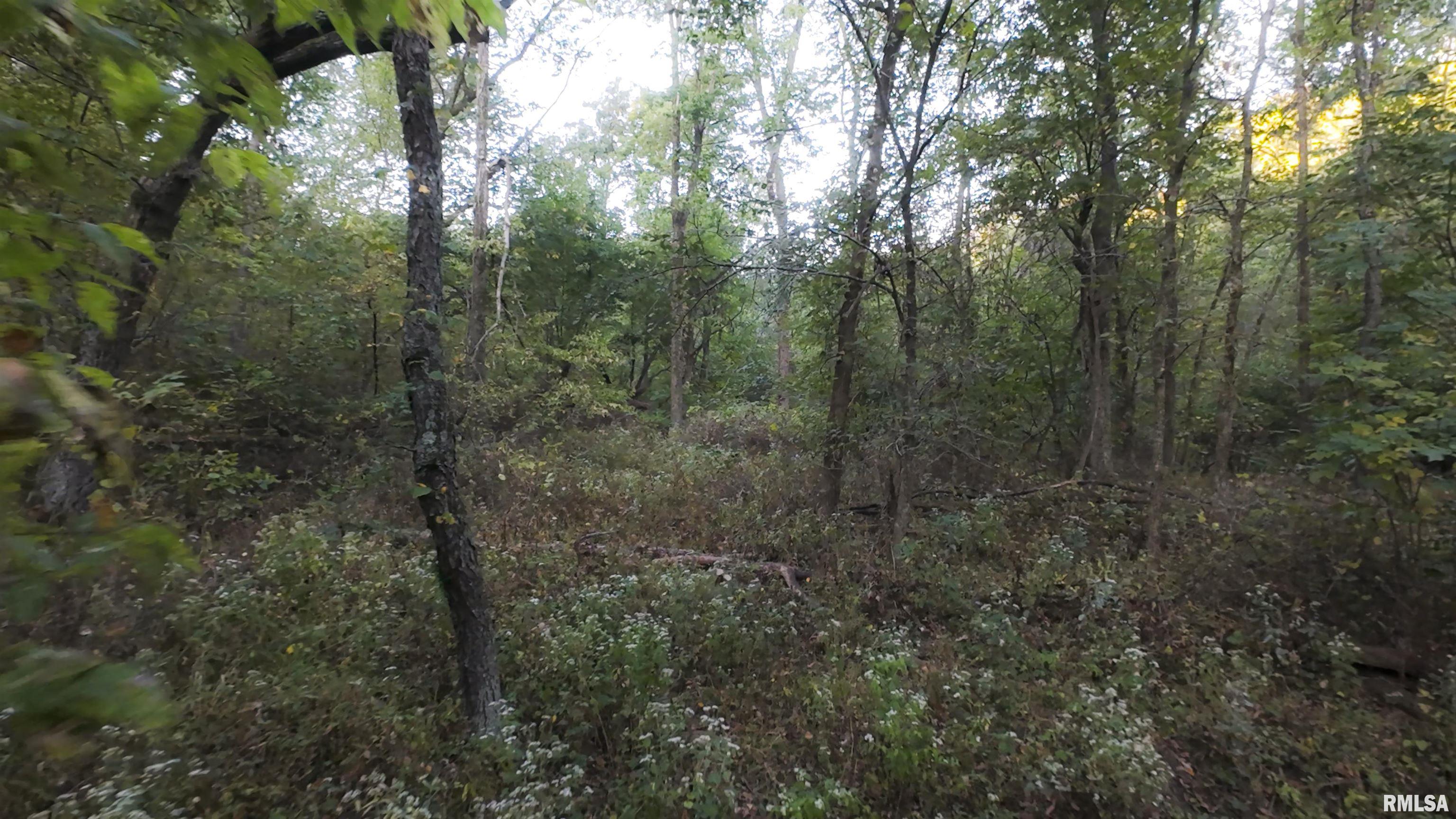 0 North Daily Road Princeville, IL 61559 - Photo 25 of 37