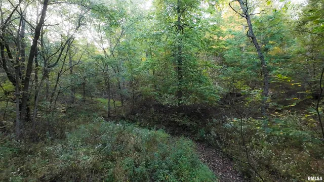 $824,500 | 0 North Daily Road, Princeville, IL 61559