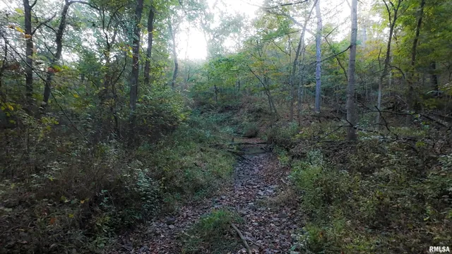 $824,500 | 0 North Daily Road, Princeville, IL 61559