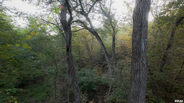 $824,500 | 0 North Daily Road, Princeville, IL 61559