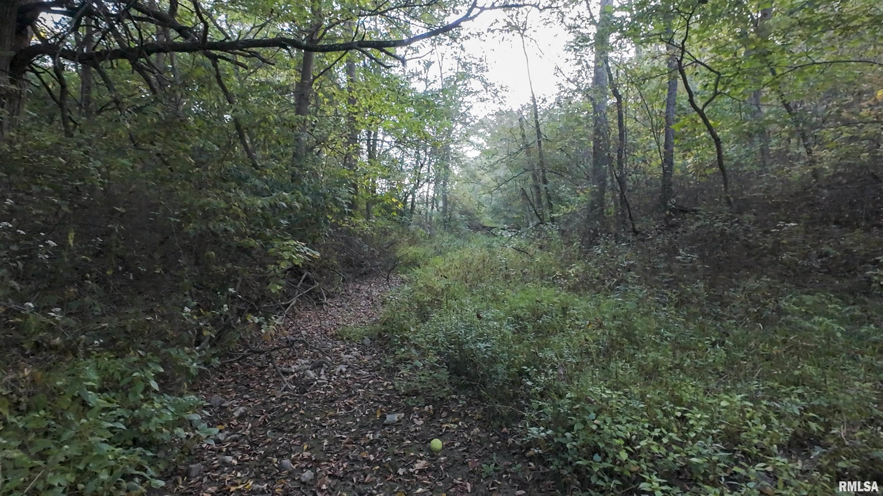 0 North Daily Road Princeville, IL 61559 - Photo 29 of 37