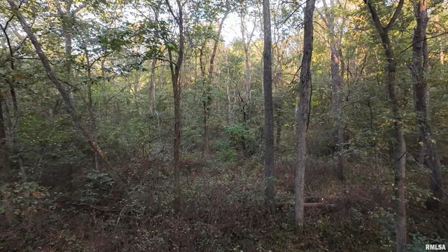 $824,500 | 0 North Daily Road, Princeville, IL 61559