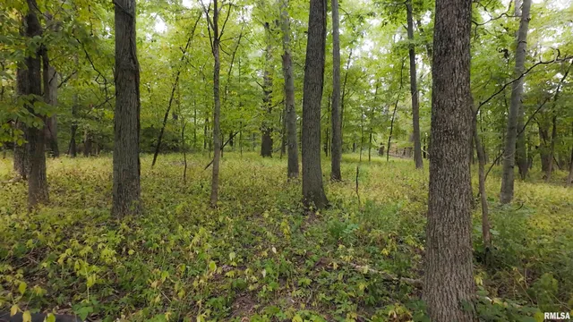 $824,500 | 0 North Daily Road, Princeville, IL 61559