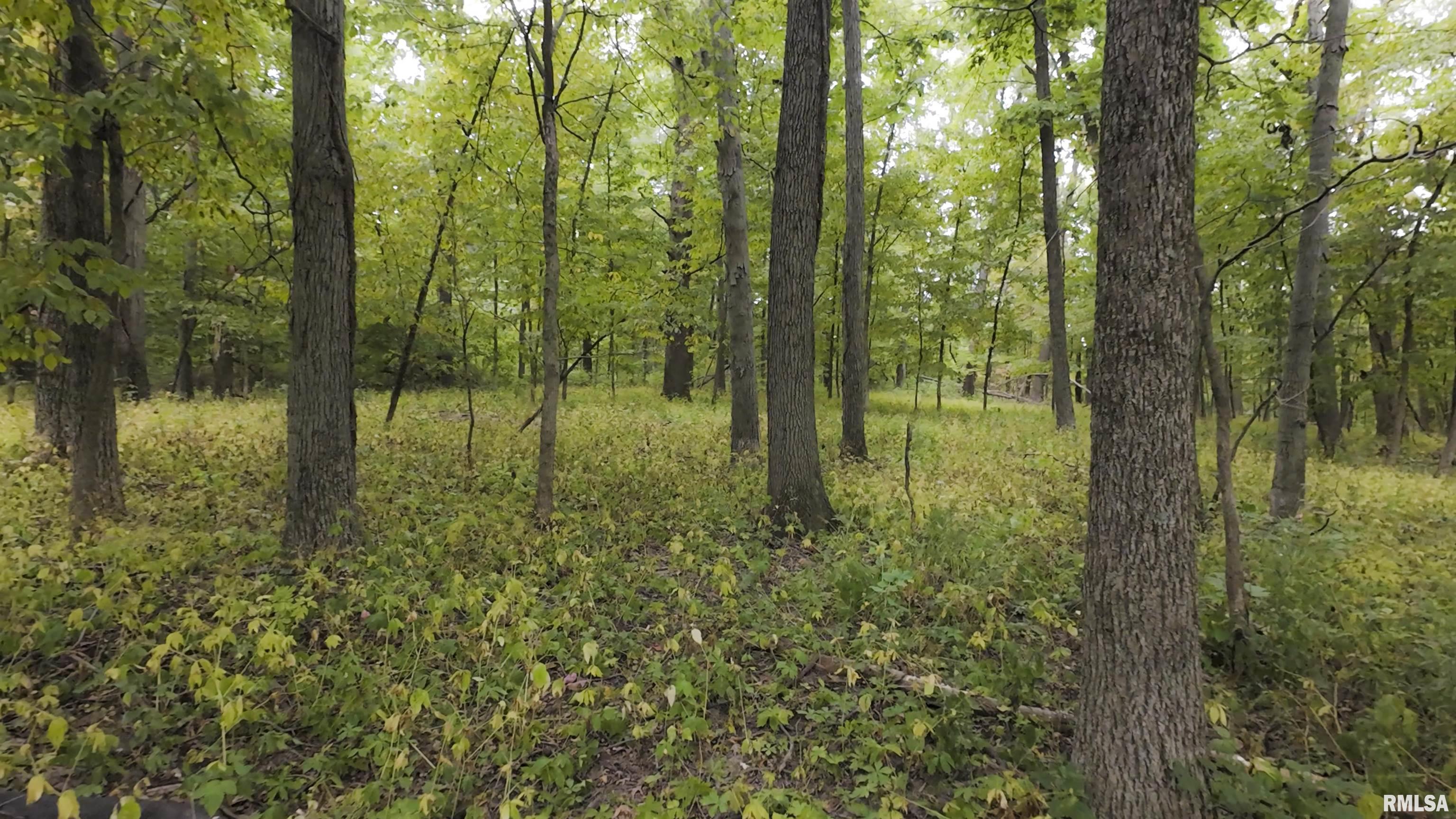 0 North Daily Road Princeville, IL 61559 - Photo 3 of 37