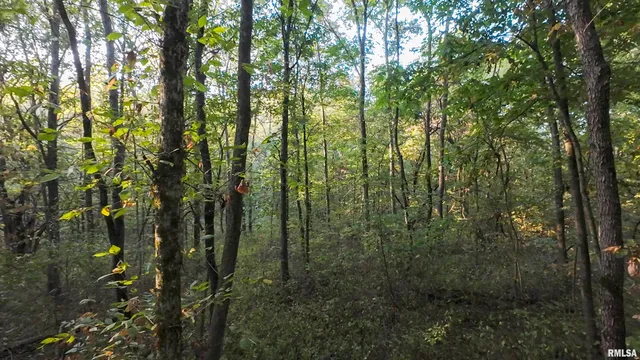 $824,500 | 0 North Daily Road, Princeville, IL 61559