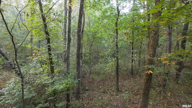 $824,500 | 0 North Daily Road, Princeville, IL 61559