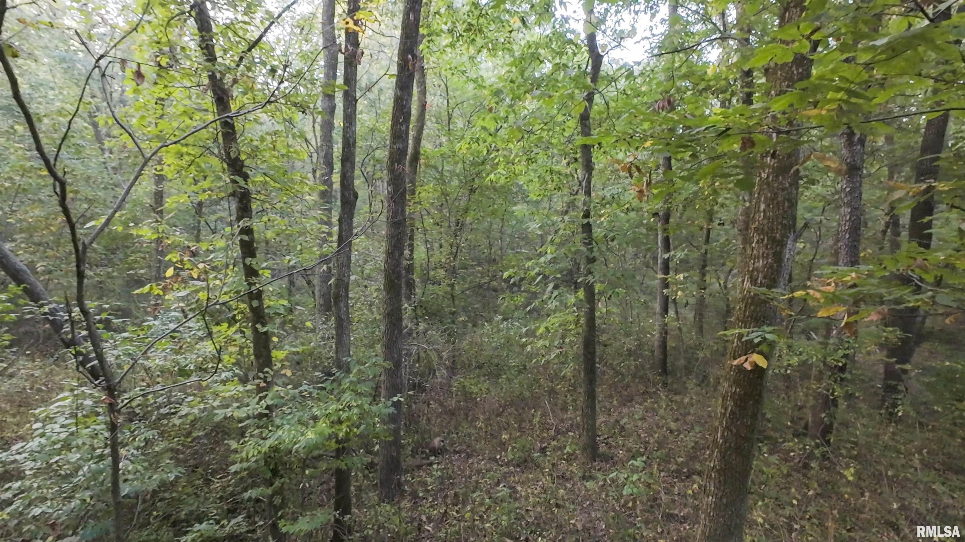 0 North Daily Road Princeville, IL 61559 - Photo 32 of 37