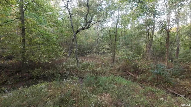 $824,500 | 0 North Daily Road, Princeville, IL 61559