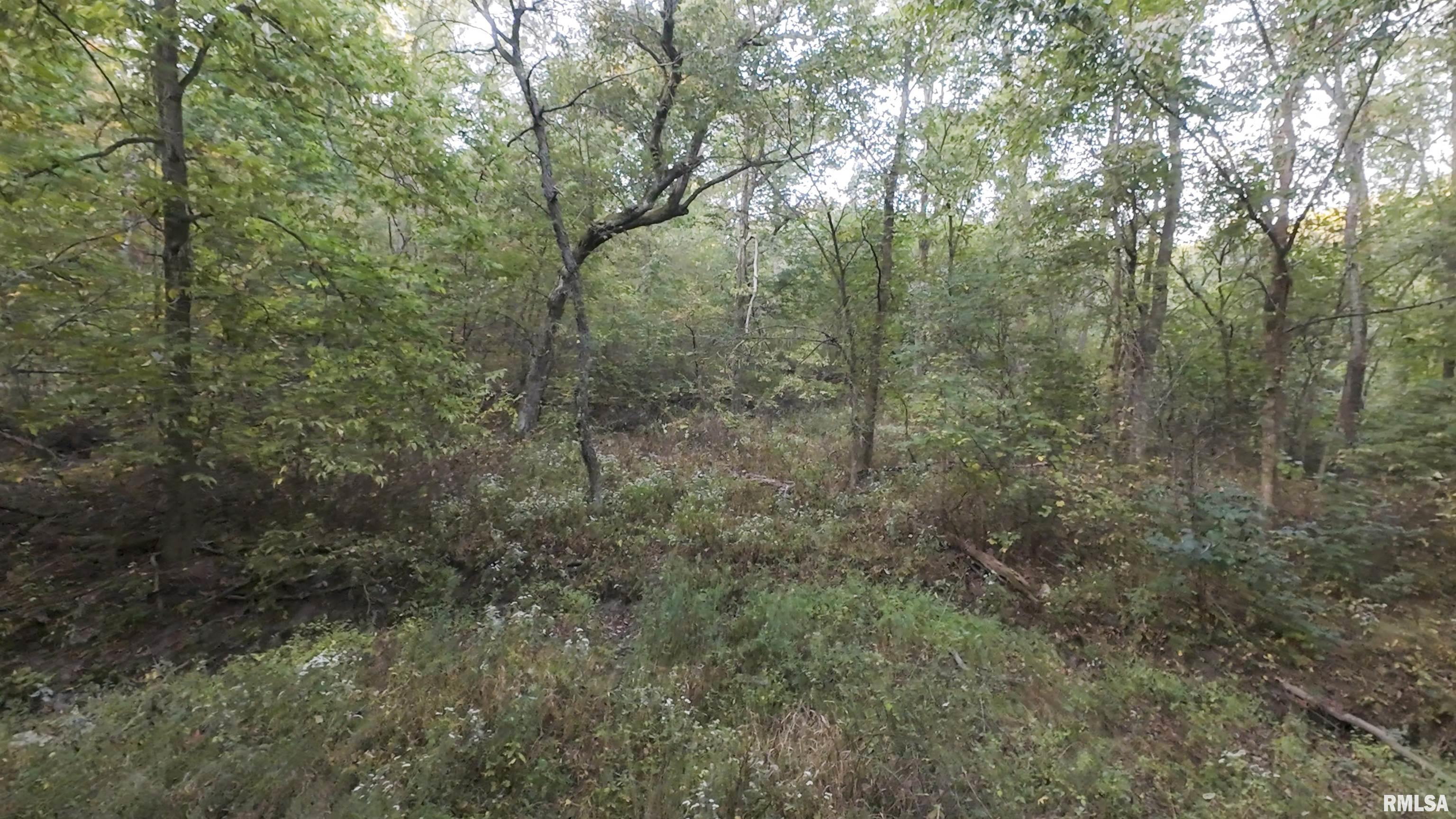 0 North Daily Road Princeville, IL 61559 - Photo 33 of 37