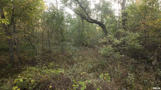 $824,500 | 0 North Daily Road, Princeville, IL 61559