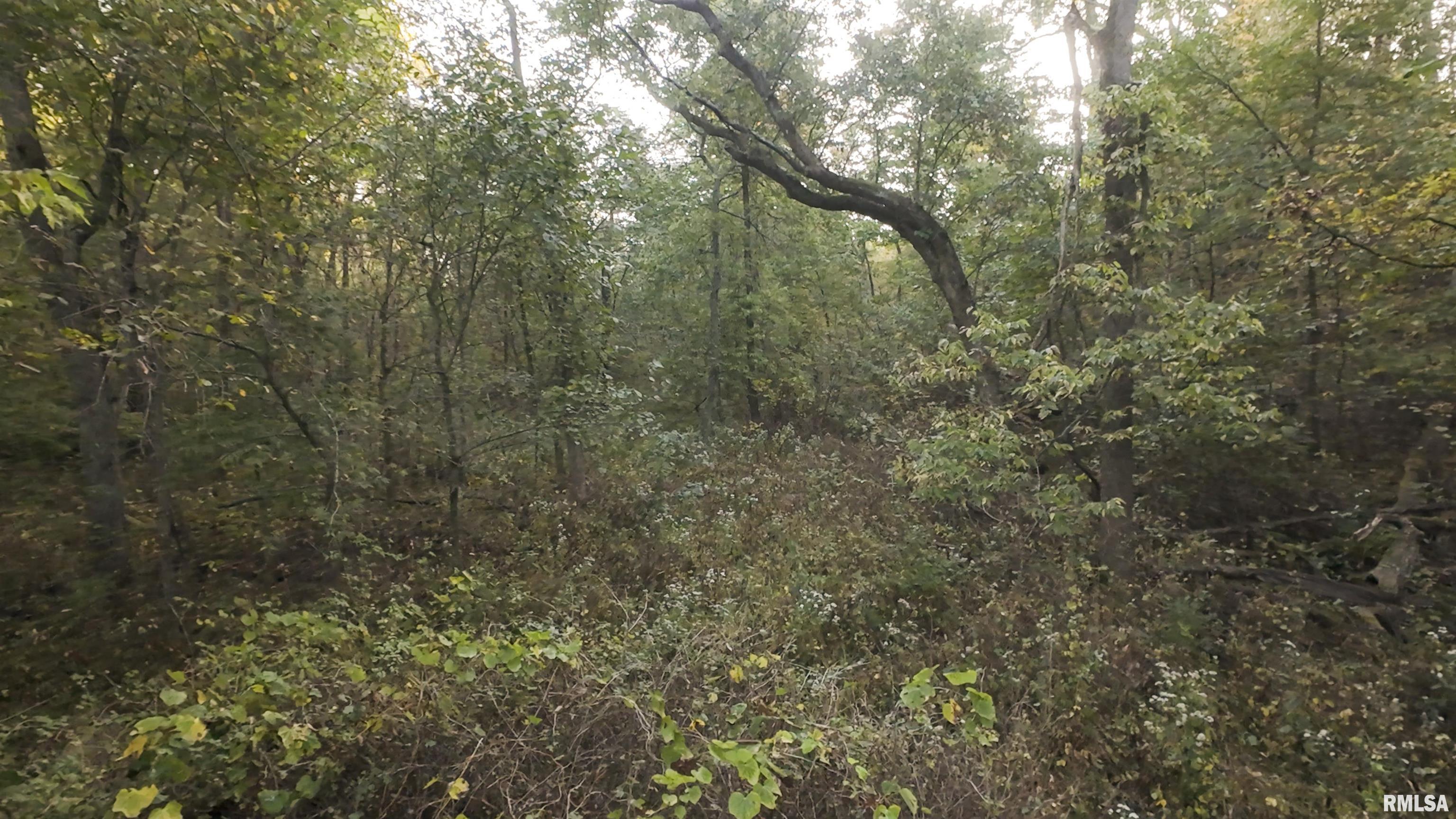 0 North Daily Road Princeville, IL 61559 - Photo 34 of 37