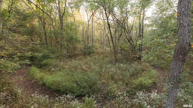 $824,500 | 0 North Daily Road, Princeville, IL 61559