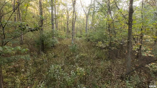 $824,500 | 0 North Daily Road, Princeville, IL 61559