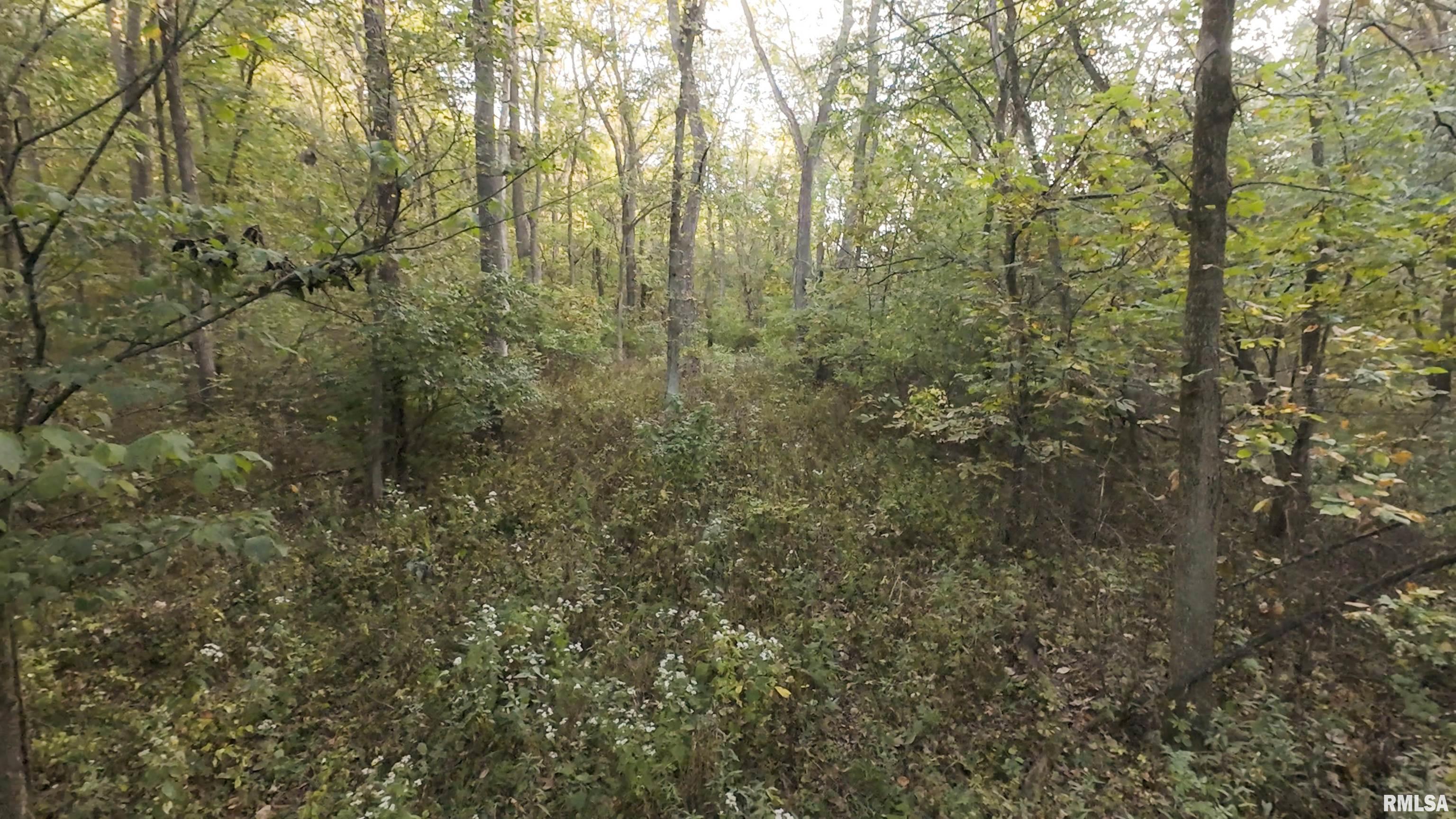 0 North Daily Road Princeville, IL 61559 - Photo 36 of 37