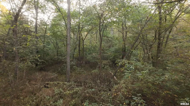 $824,500 | 0 North Daily Road, Princeville, IL 61559