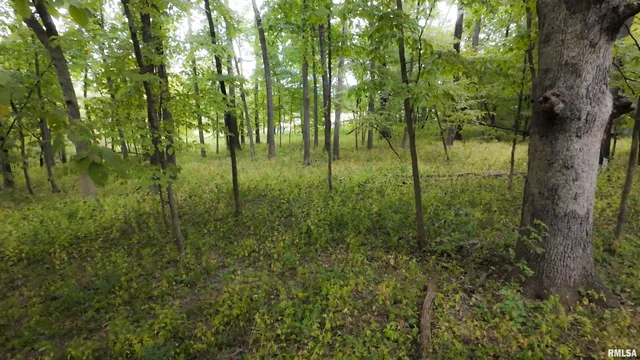 $824,500 | 0 North Daily Road, Princeville, IL 61559