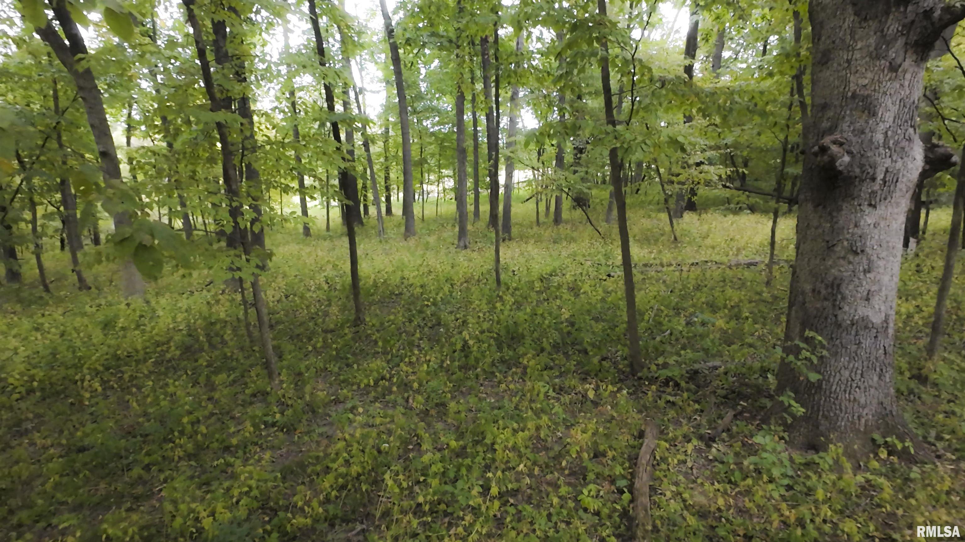 0 North Daily Road Princeville, IL 61559 - Photo 4 of 37