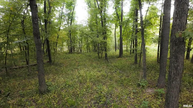 $824,500 | 0 North Daily Road, Princeville, IL 61559