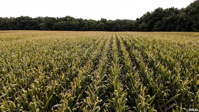 $824,500 | 0 North Daily Road, Princeville, IL 61559