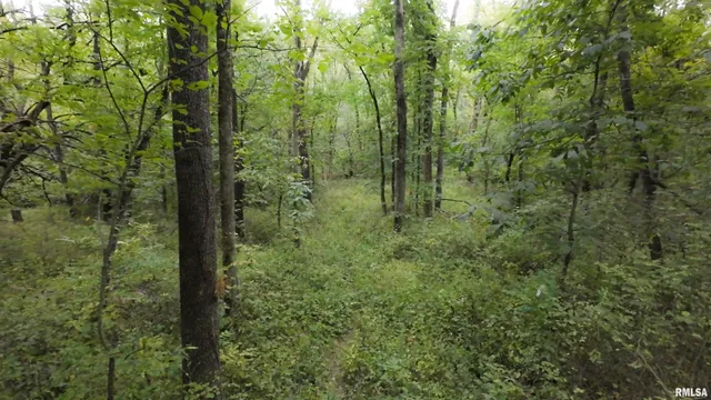 $824,500 | 0 North Daily Road, Princeville, IL 61559