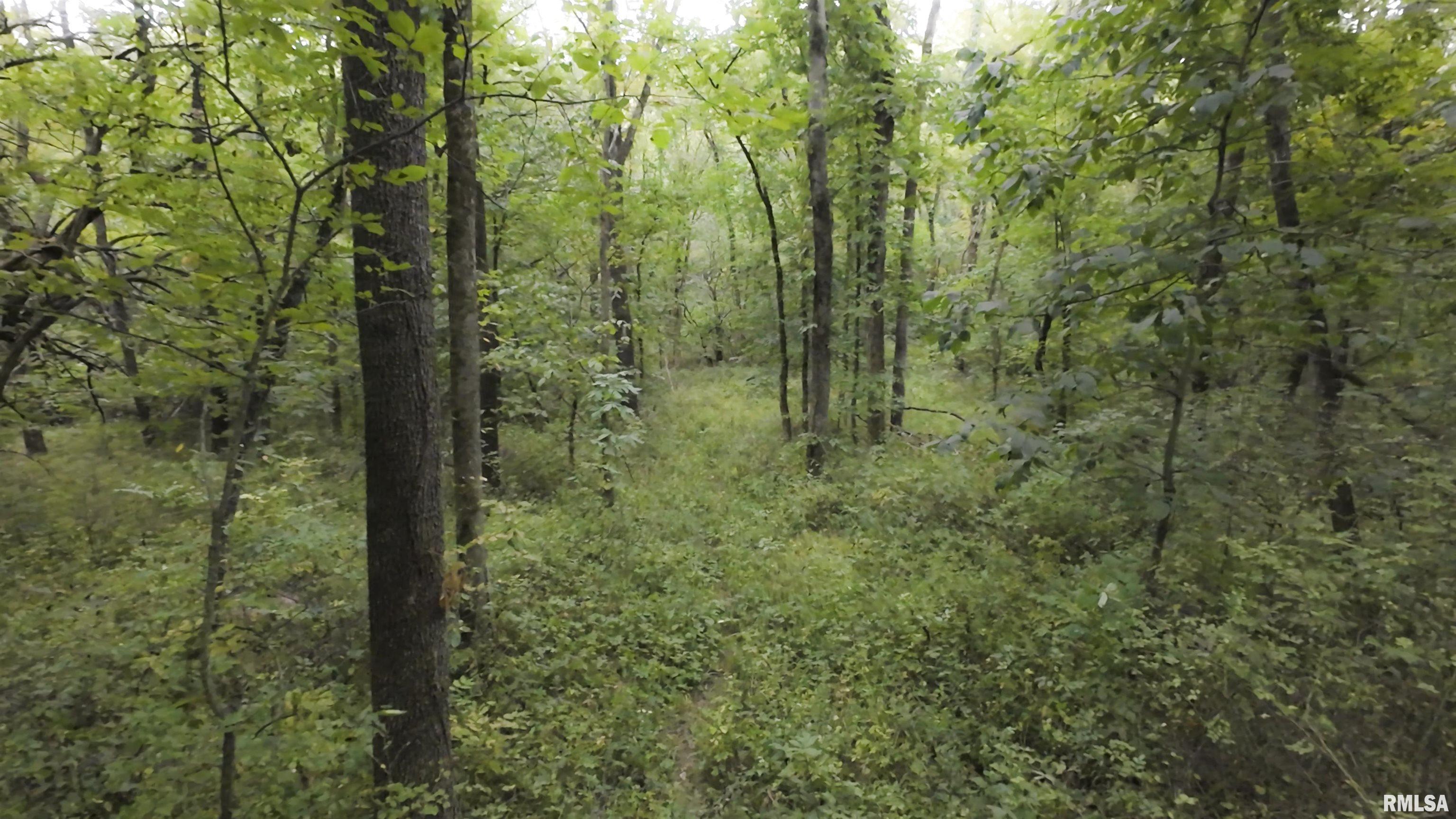 0 North Daily Road Princeville, IL 61559 - Photo 7 of 37