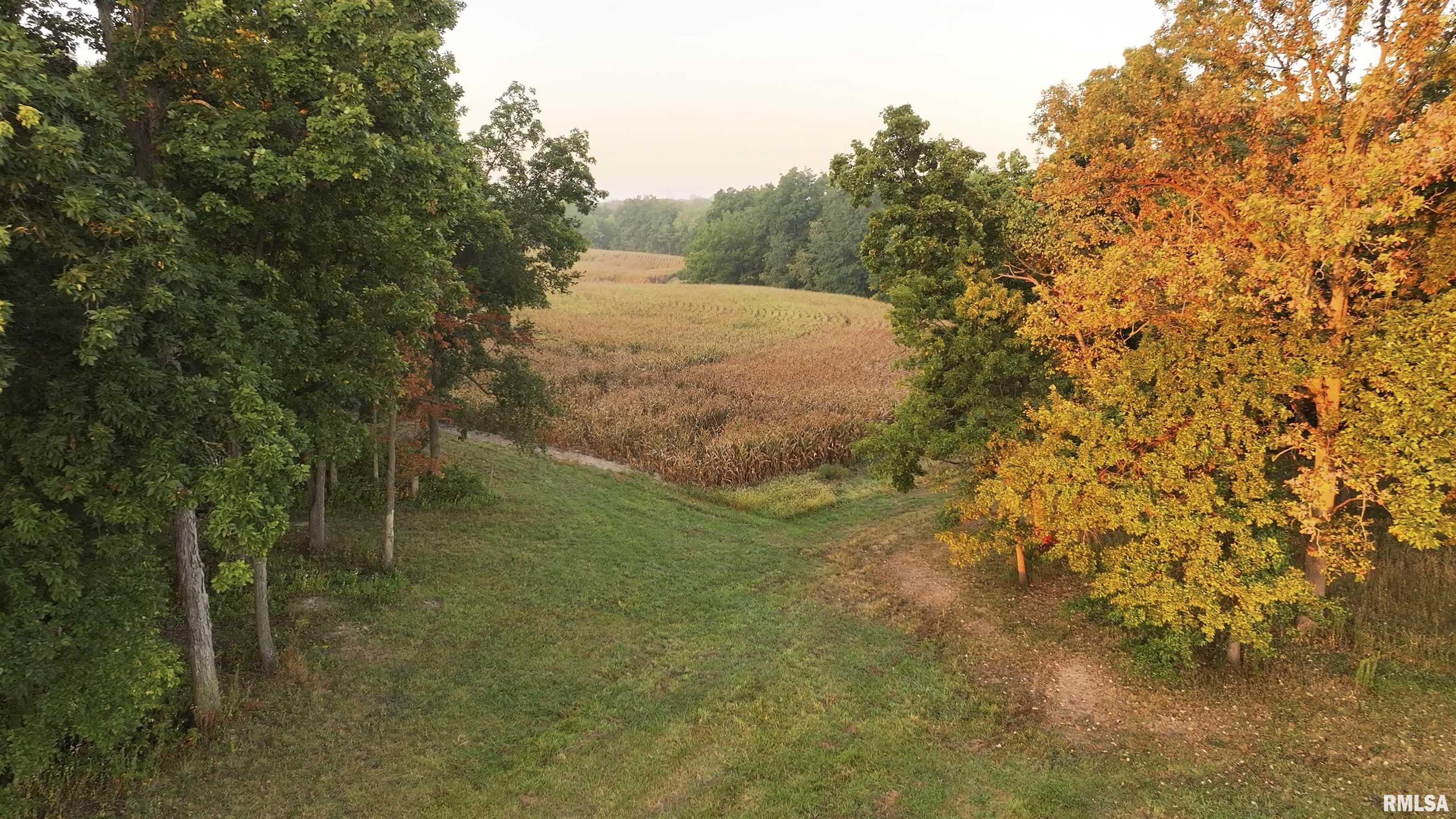 0 North Daily Road Princeville, IL 61559 - Photo 8 of 37