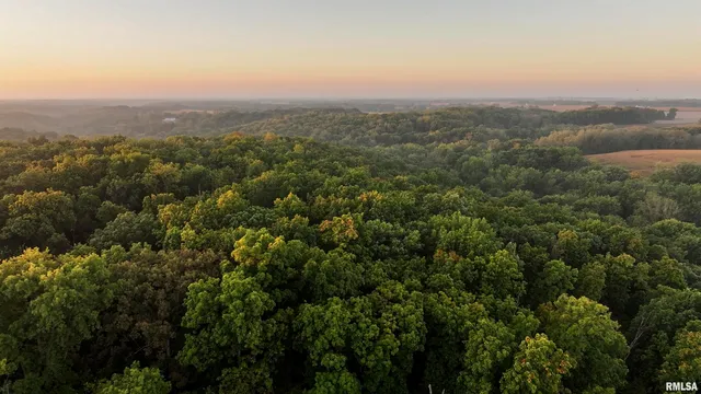 $824,500 | 0 North Daily Road, Princeville, IL 61559