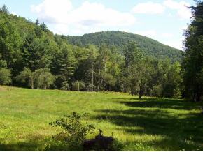 151 Stratton Hill Road Newfane, VT 05351 - Photo 10 of 12