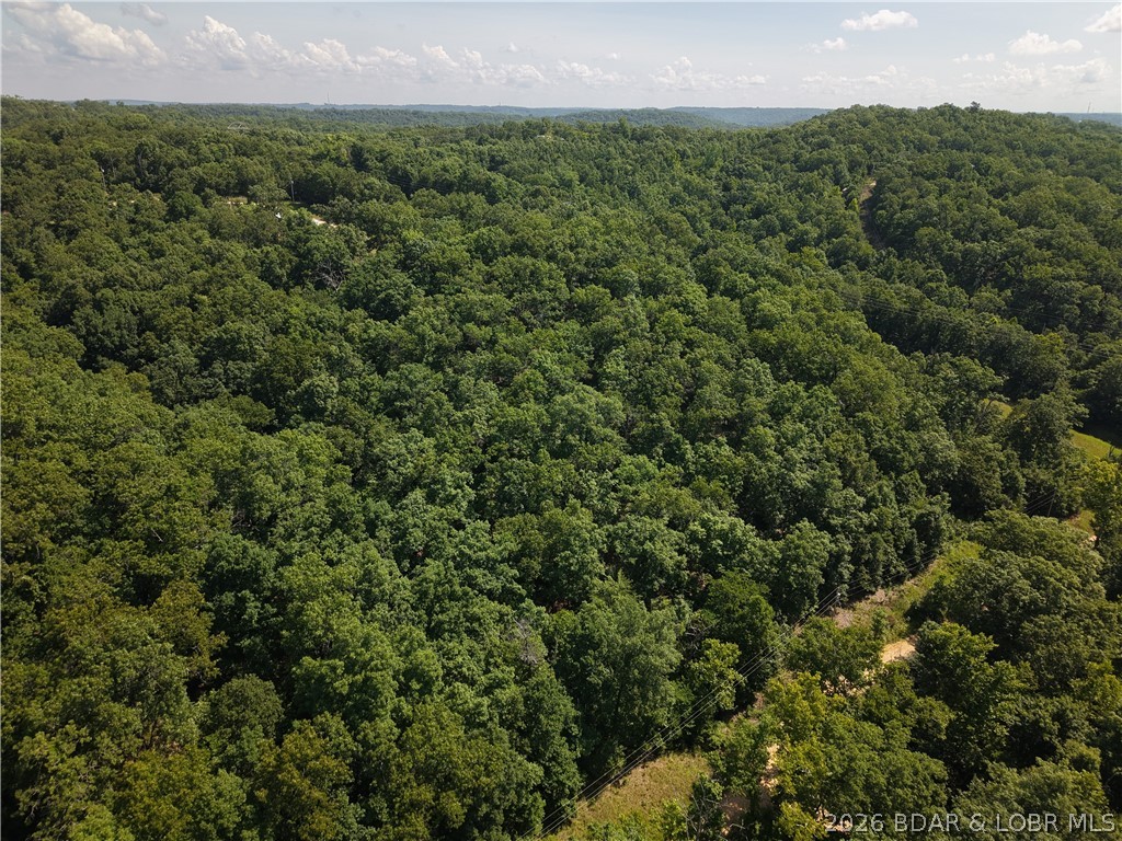 Lot 62 Venus Road Camdenton, MO 65020 - Photo 2 of 4