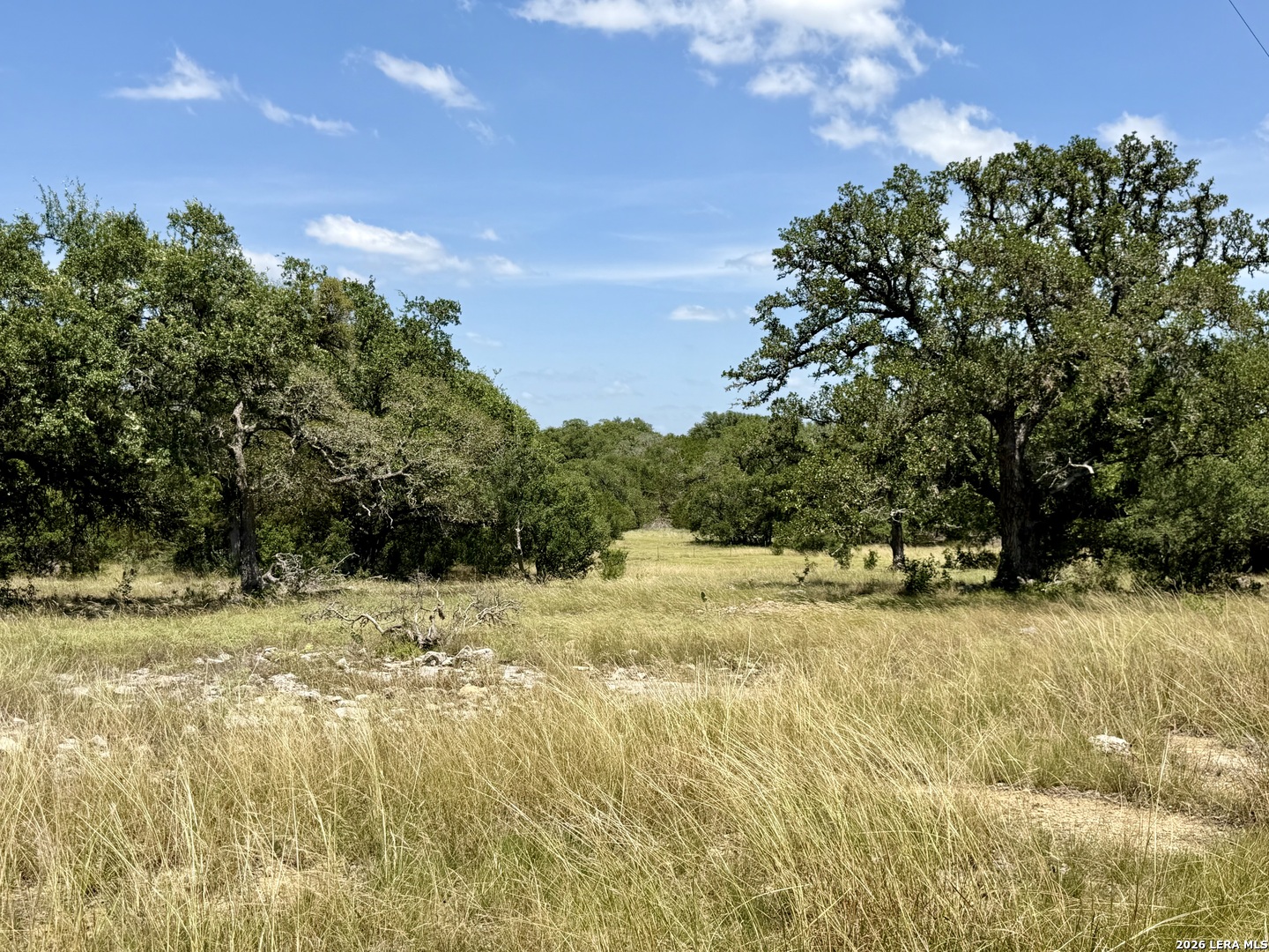 43-acres Sattler Road Spring Branch, TX 78070 - Photo 35 of 42 Gallery Image 35