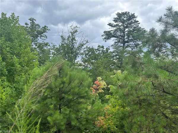 $115,000 | Tbd Tbd Lobelia Lane, Boone, NC 28607