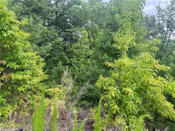 $115,000 | Tbd Tbd Lobelia Lane, Boone, NC 28607