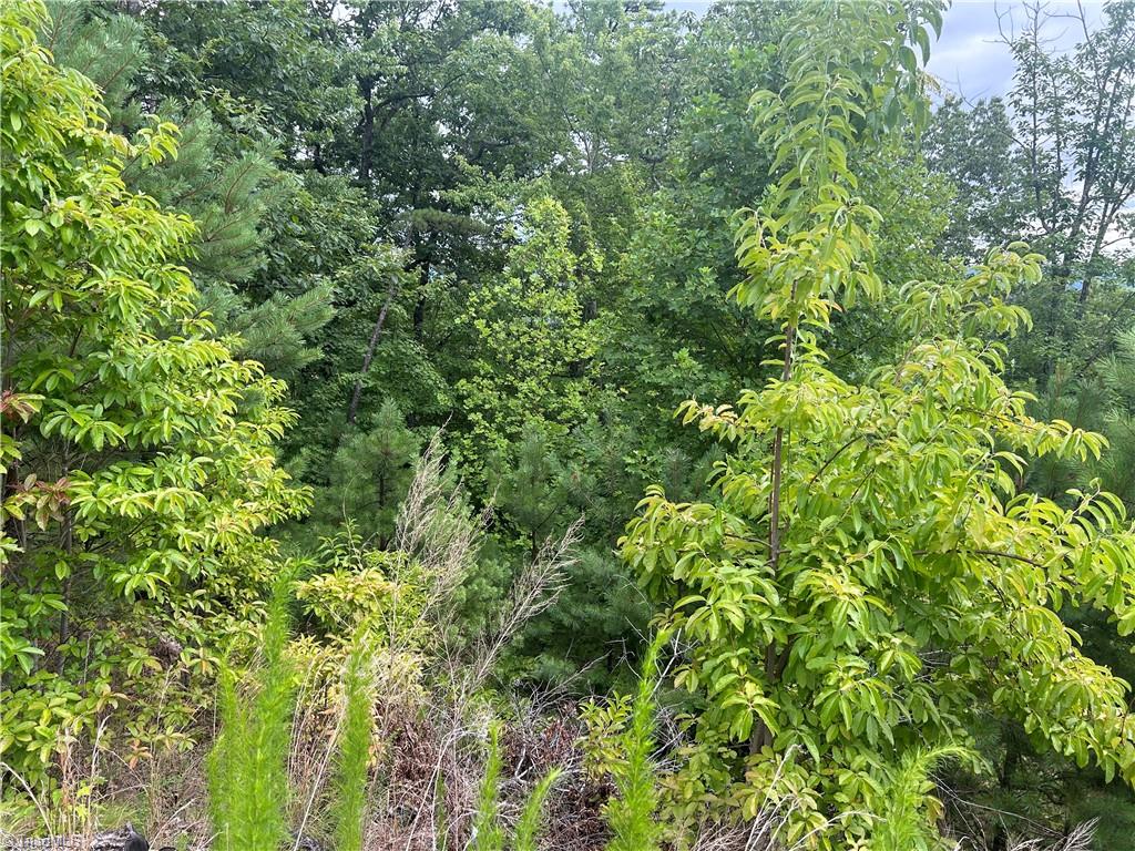 Tbd Tbd Lobelia Lane Boone, NC 28607 - Photo 3 of 10